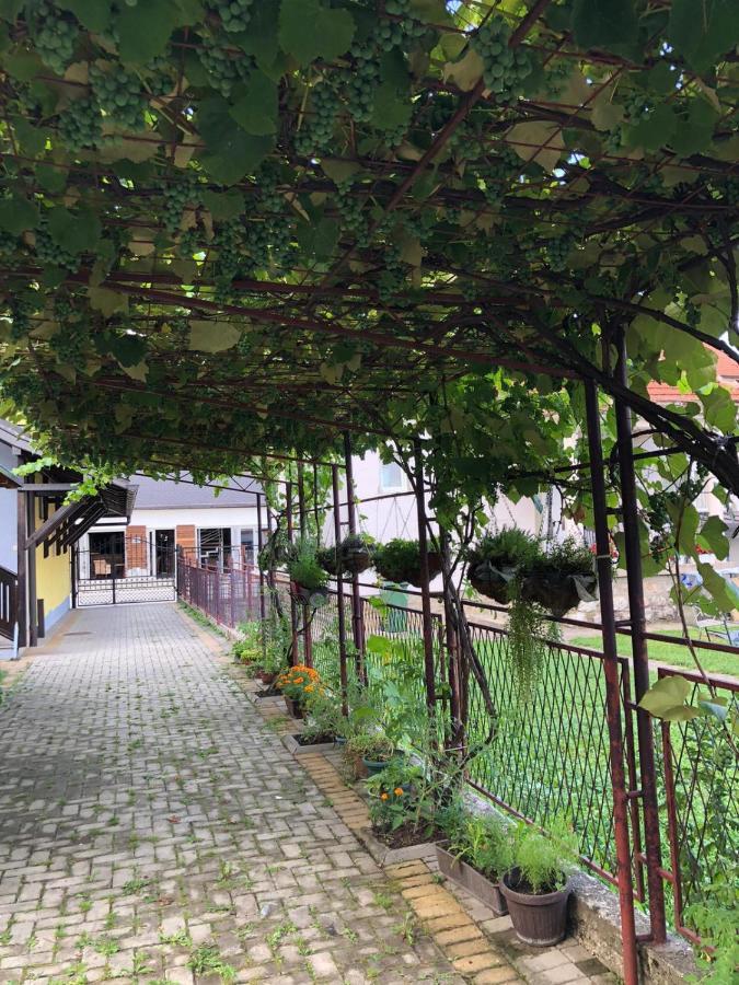 Apartmani Joma Баина Баща Екстериор снимка